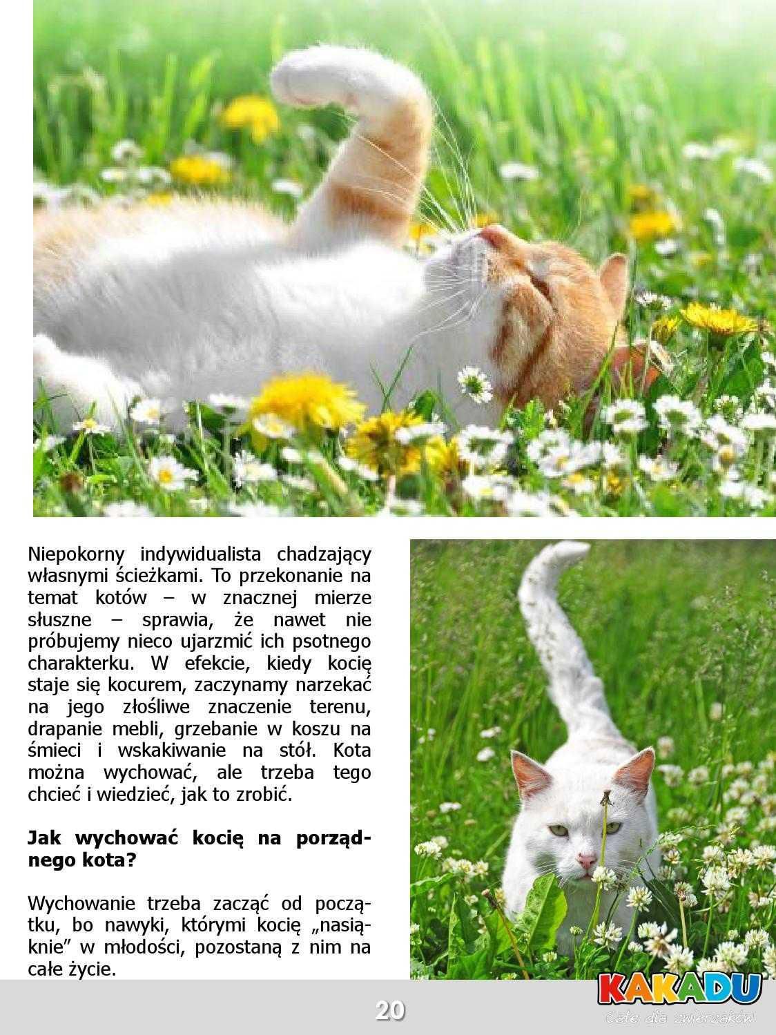 Gazetka promocyjna KAKADU str. 21