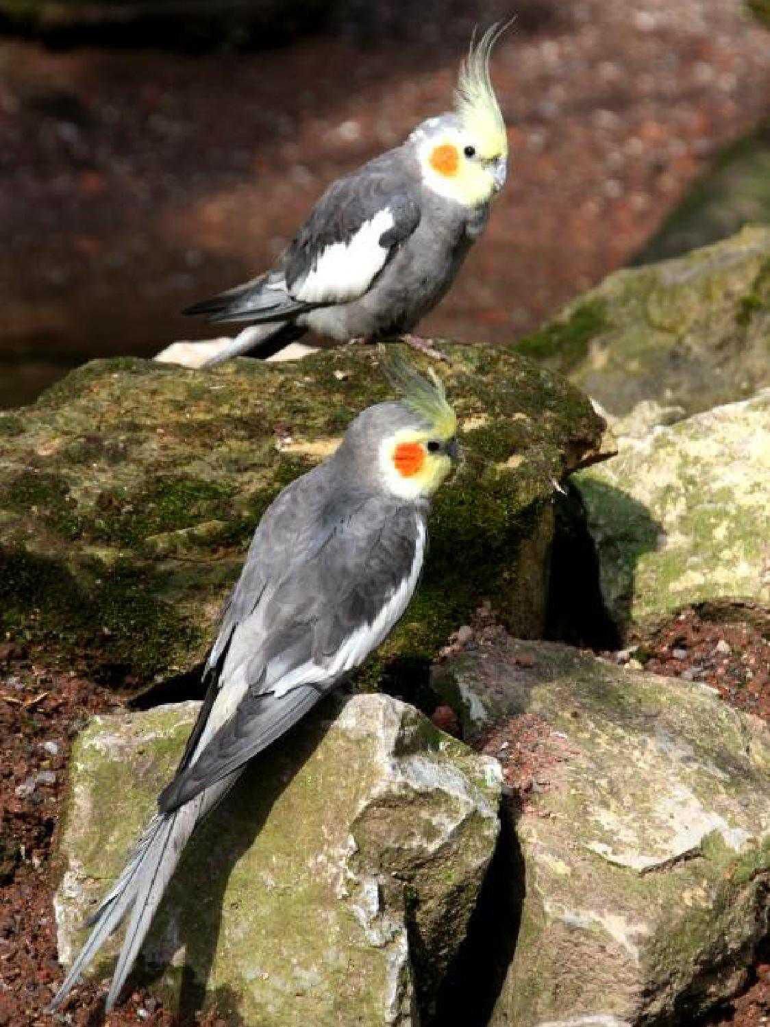 Gazetka promocyjna KAKADU str. 44