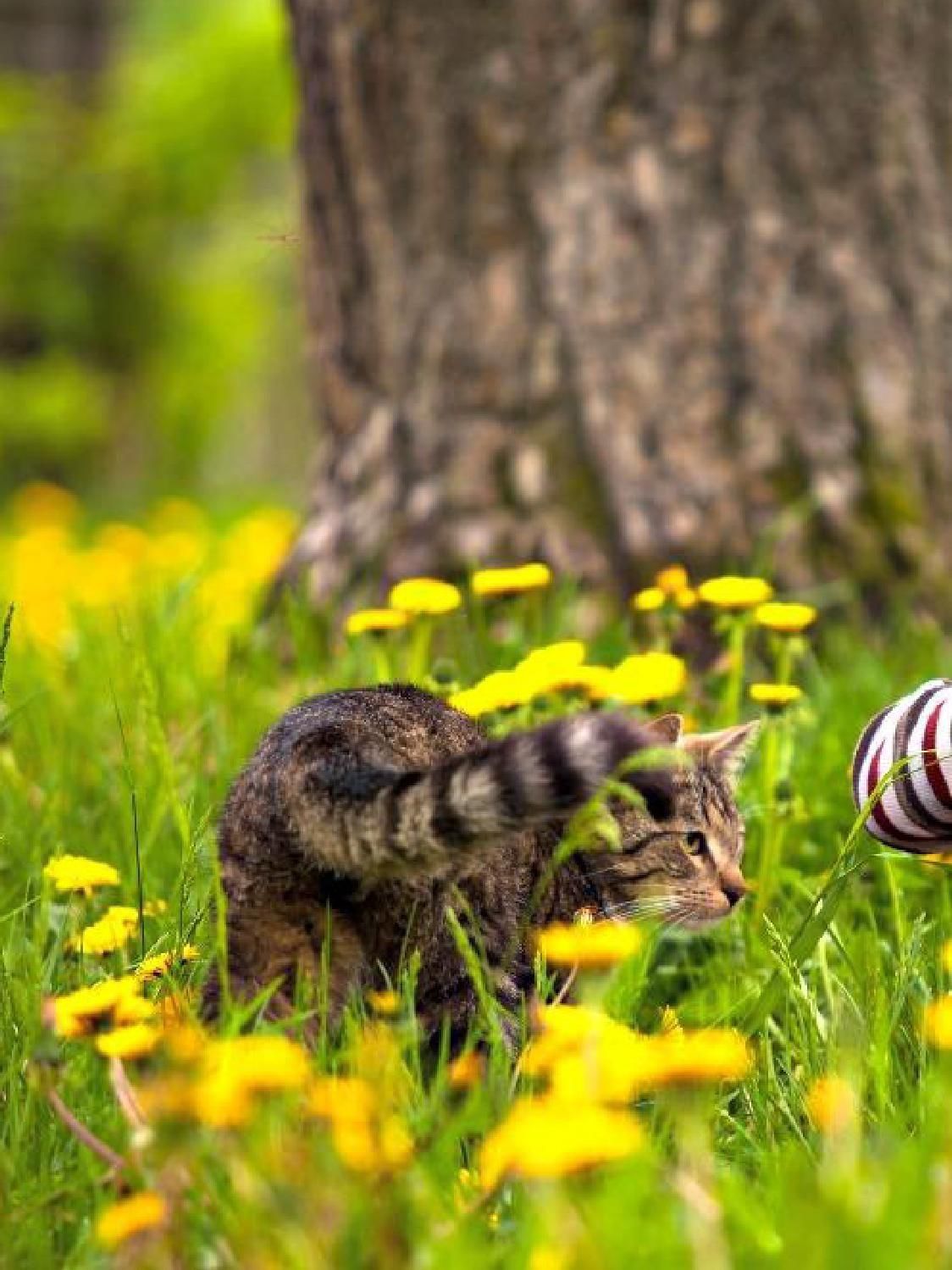 Gazetka promocyjna KAKADU str. 22