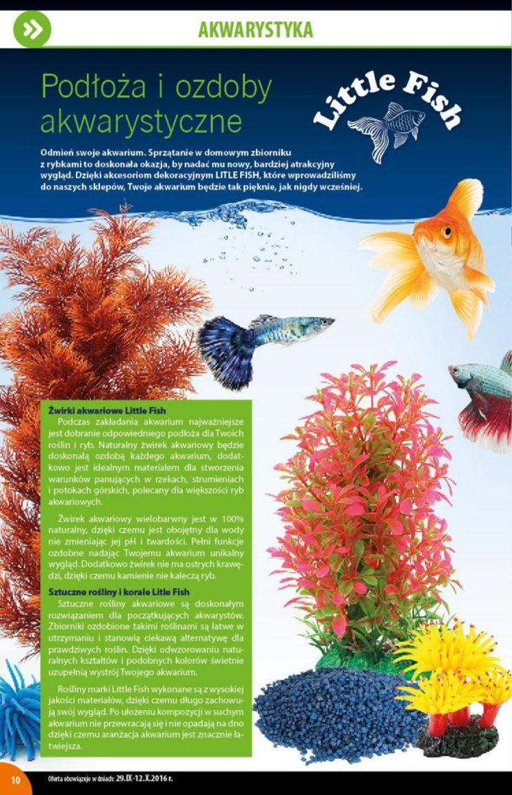 Gazetka promocyjna KAKADU str. 10