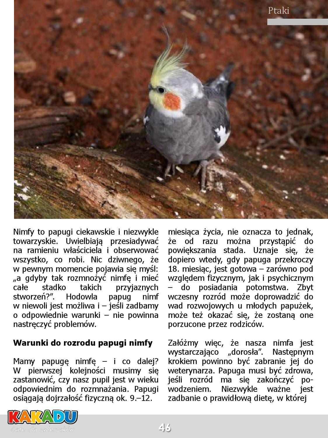 Gazetka promocyjna KAKADU str. 45