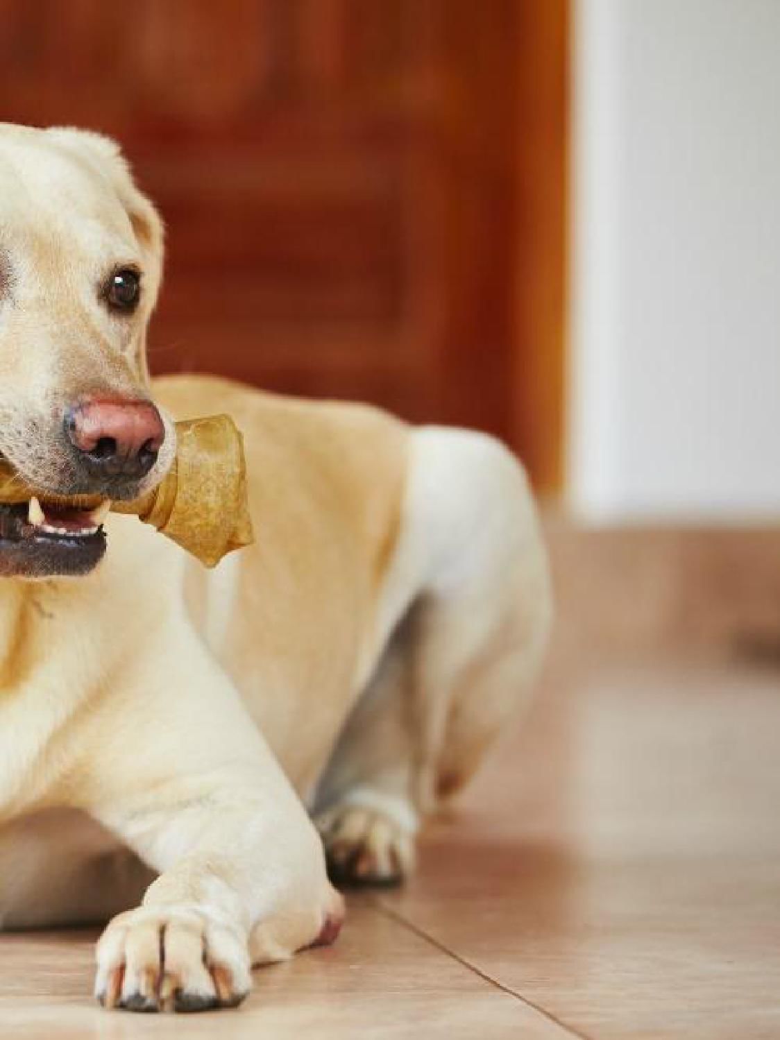 Gazetka promocyjna KAKADU str. 13