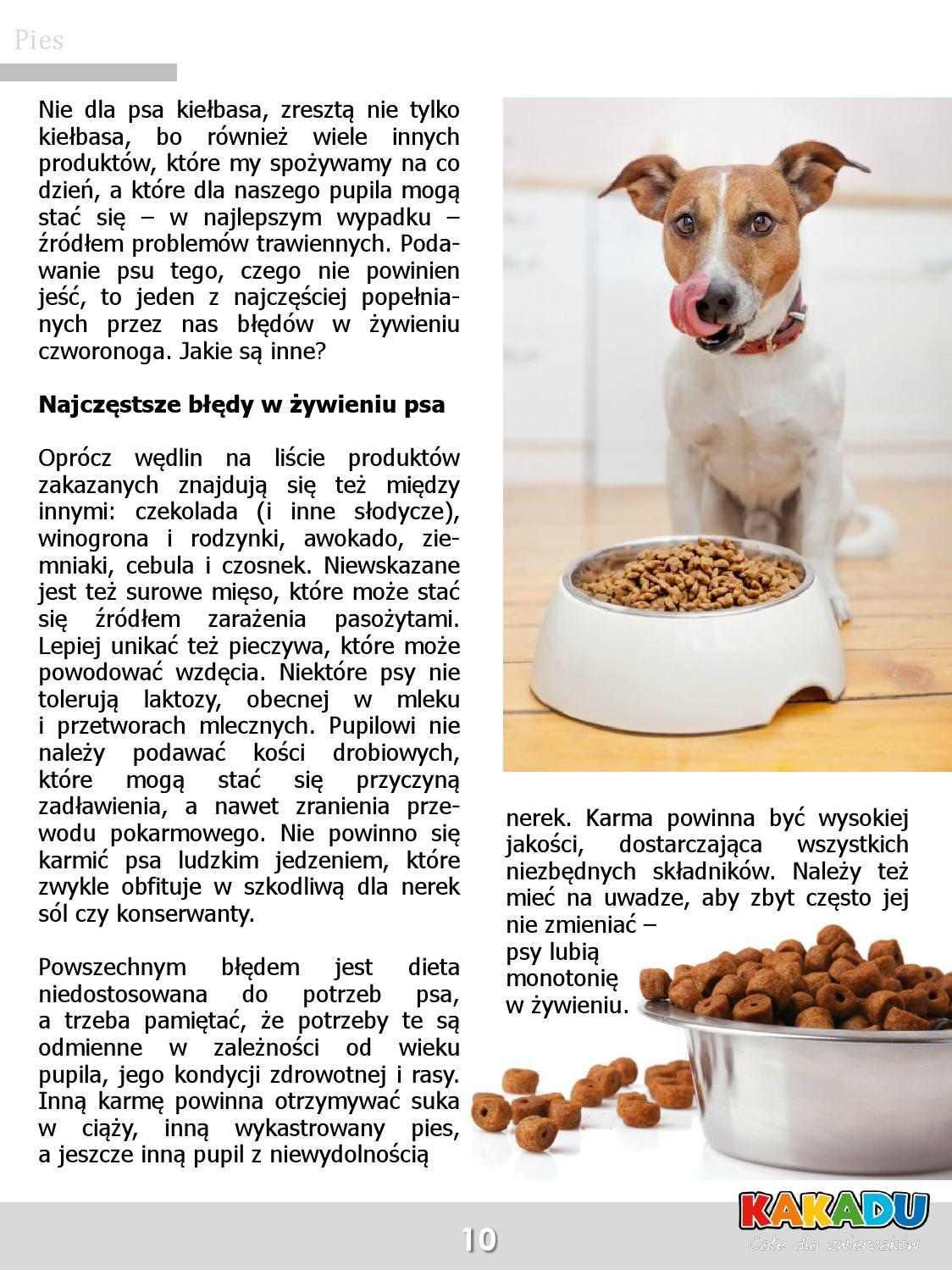 Gazetka promocyjna KAKADU str. 10