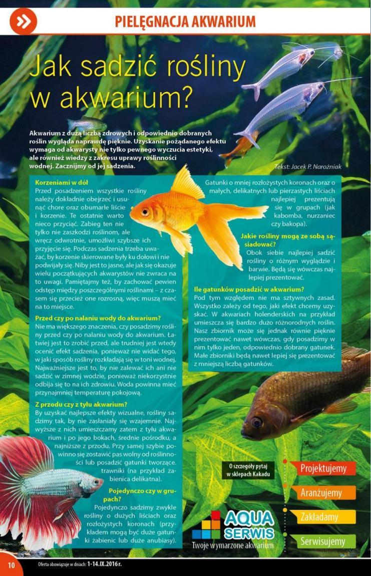 Gazetka promocyjna KAKADU str. 10