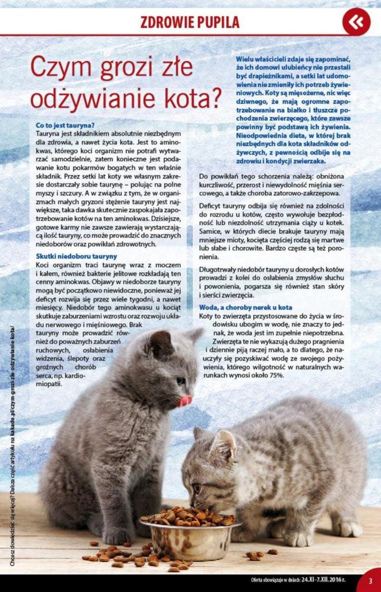 Gazetka promocyjna KAKADU str. 3