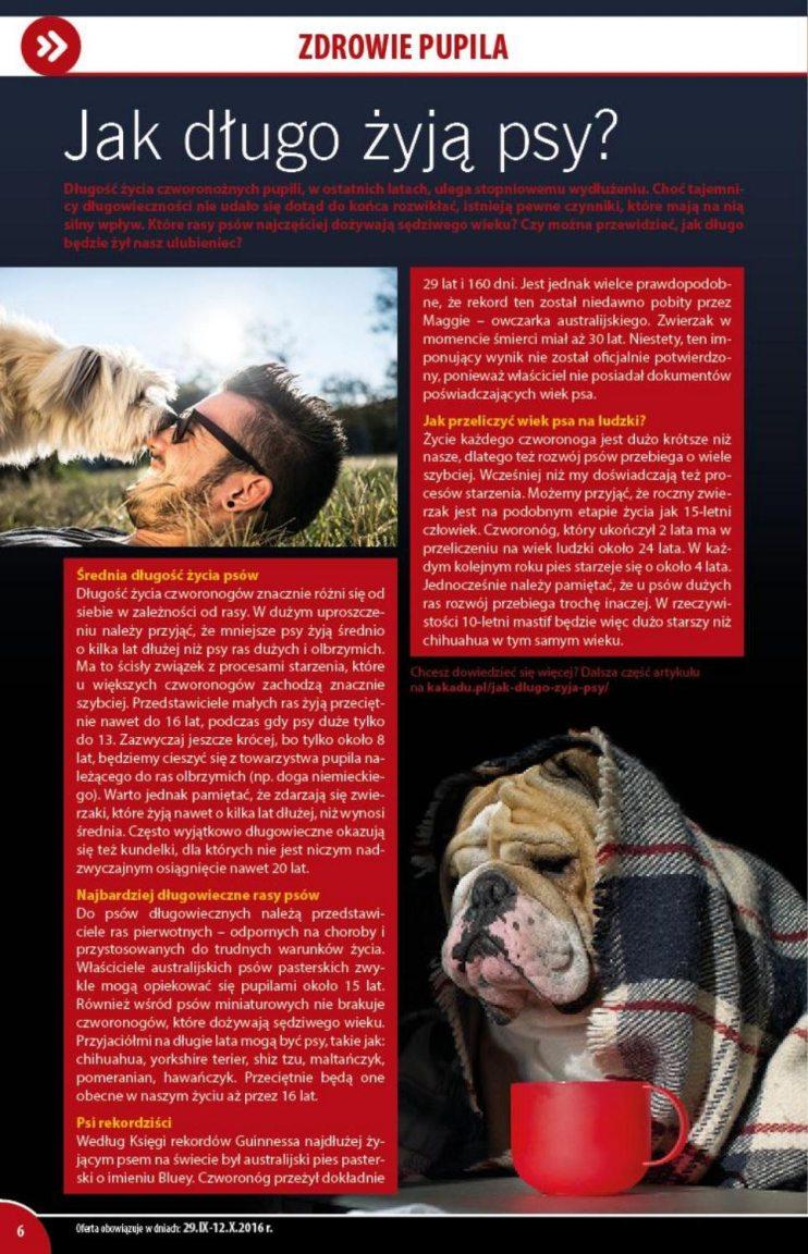 Gazetka promocyjna KAKADU str. 6