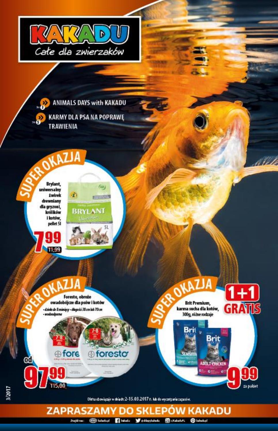Gazetka promocyjna KAKADU str. 1