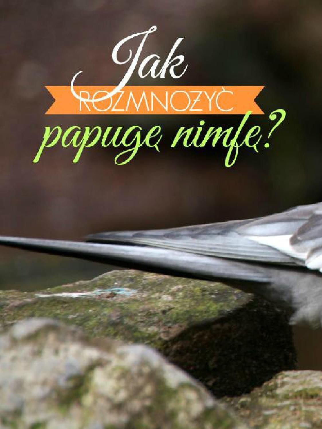 Gazetka promocyjna KAKADU str. 42