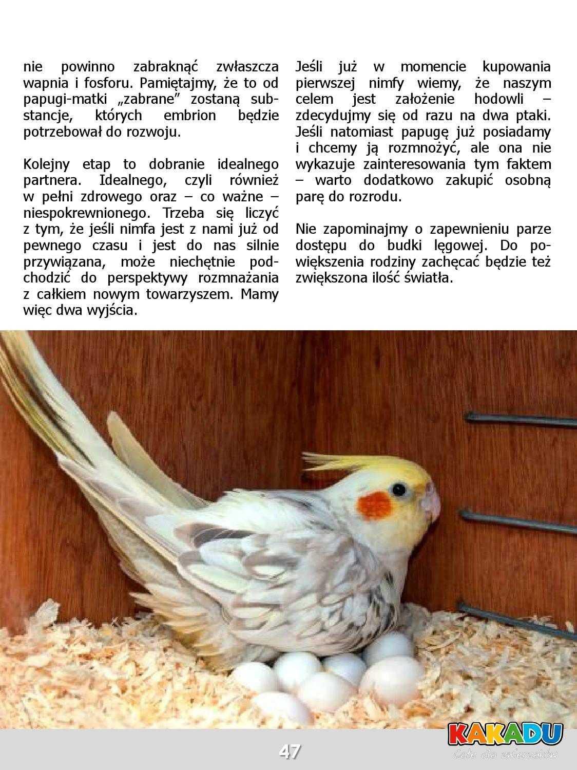 Gazetka promocyjna KAKADU str. 46