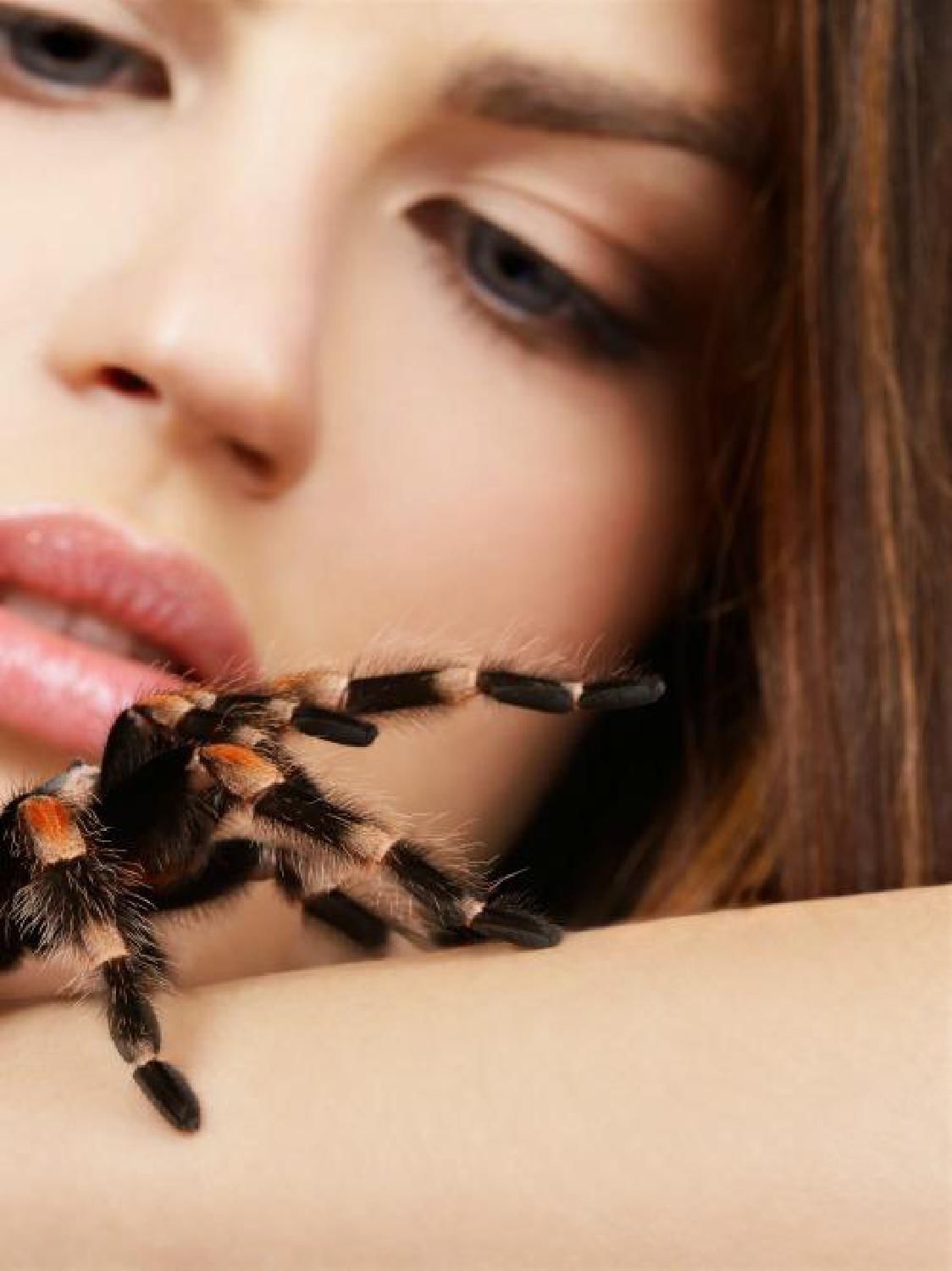 Gazetka promocyjna KAKADU str. 39