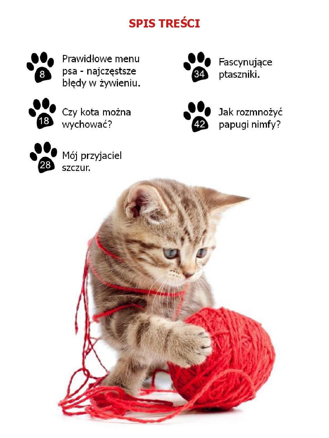 Gazetka promocyjna KAKADU str. 7