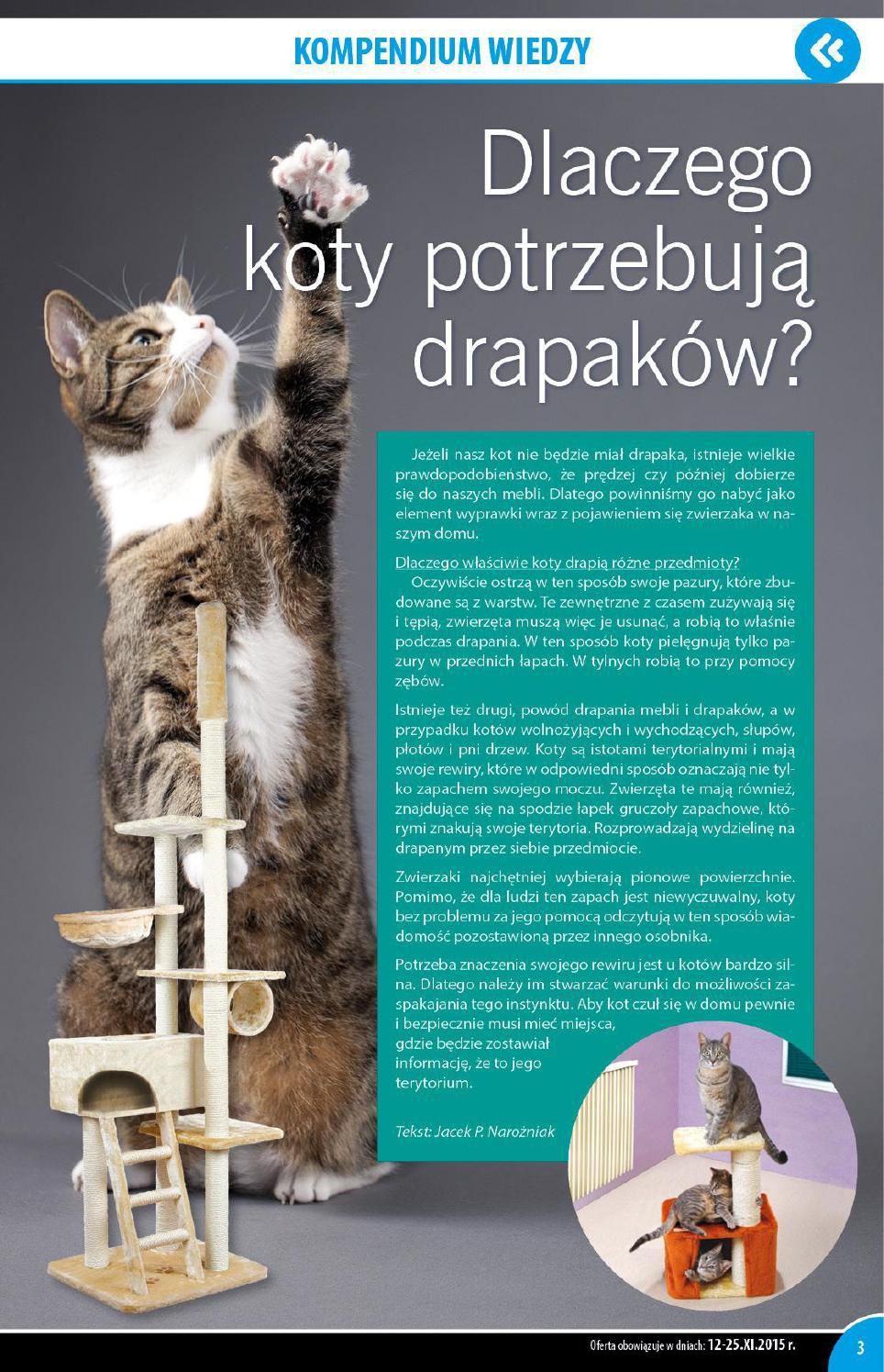 Gazetka promocyjna KAKADU str. 3