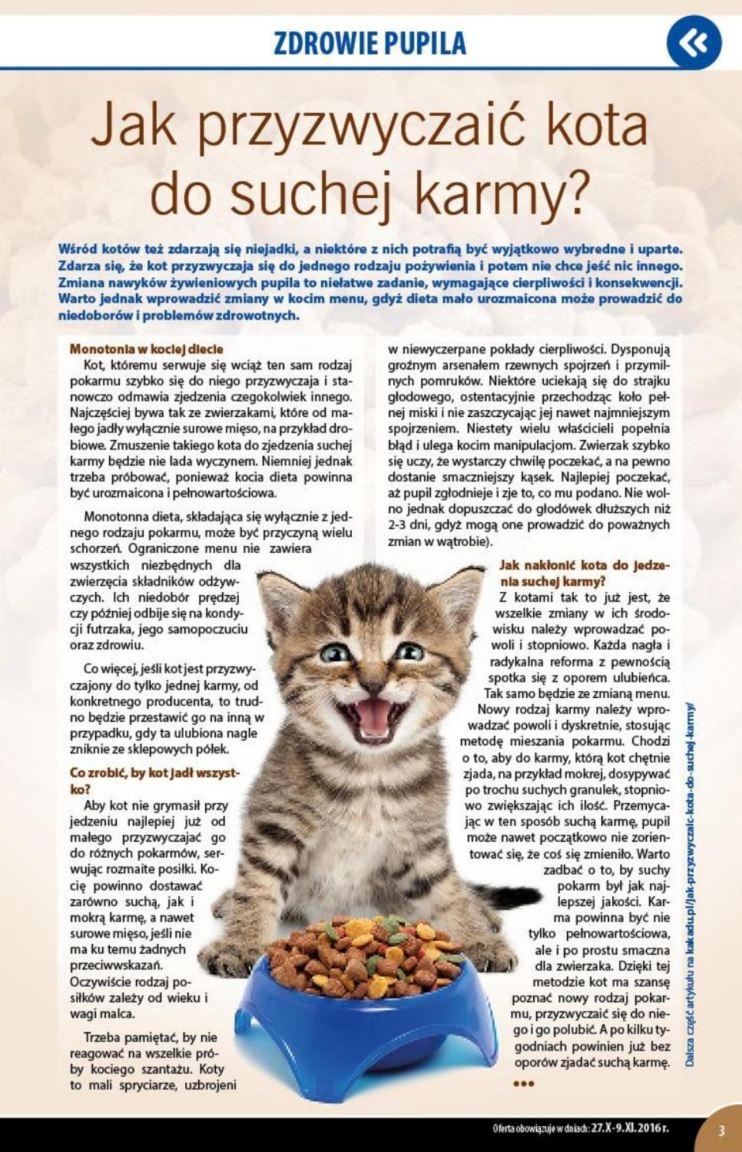 Gazetka promocyjna KAKADU str. 3