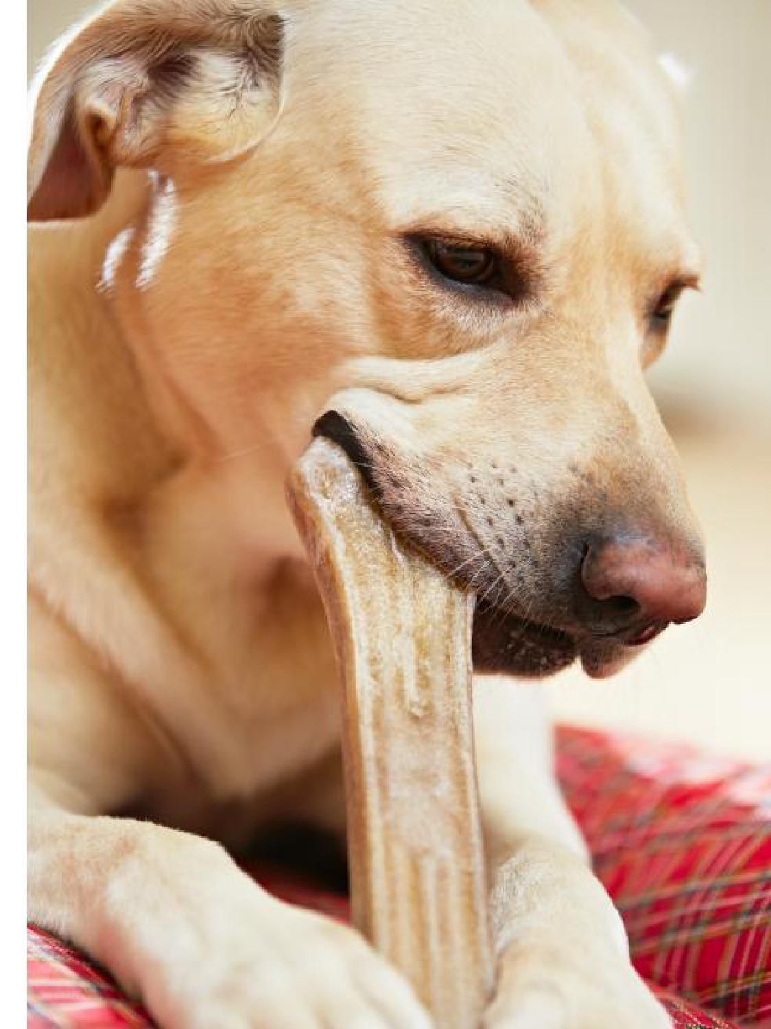 Gazetka promocyjna KAKADU str. 15