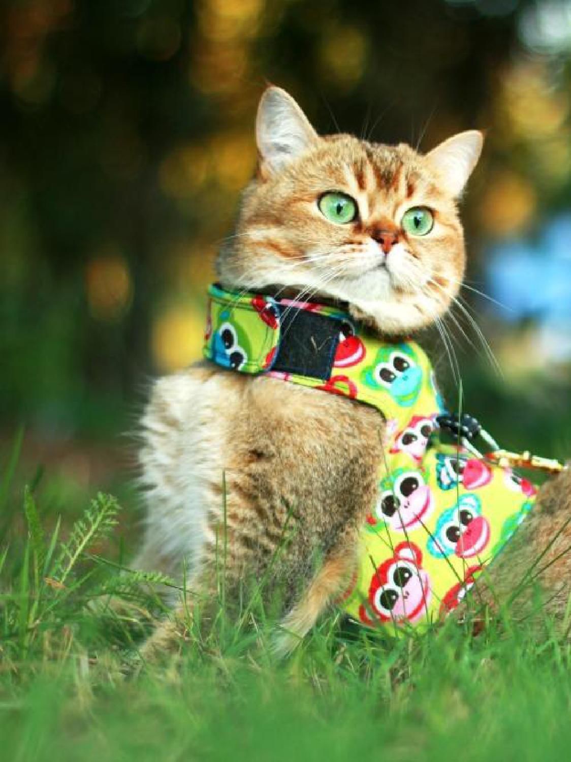 Gazetka promocyjna KAKADU str. 26