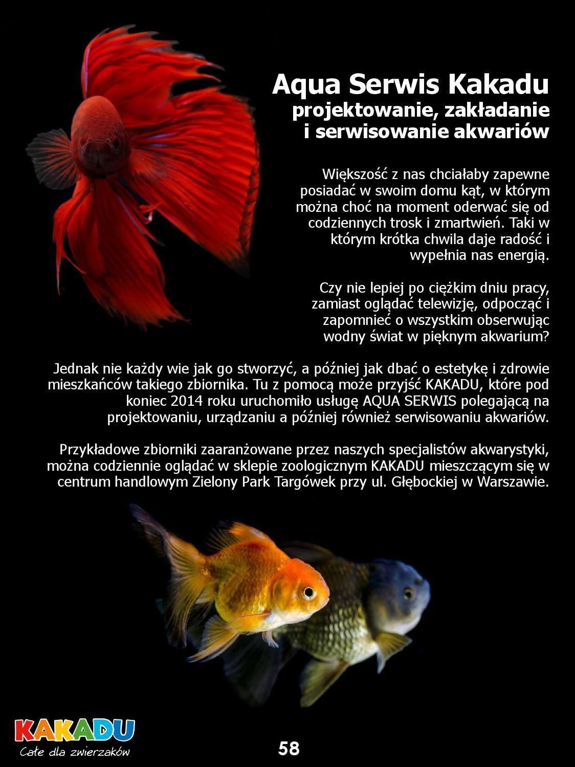 Gazetka promocyjna KAKADU str. 48