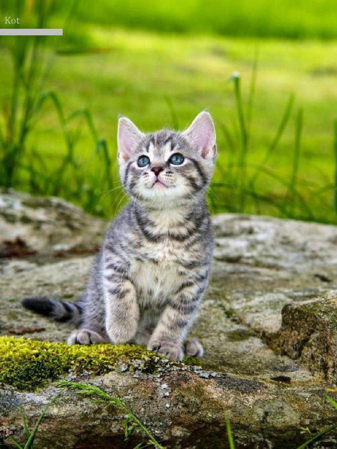 Gazetka promocyjna KAKADU str. 20